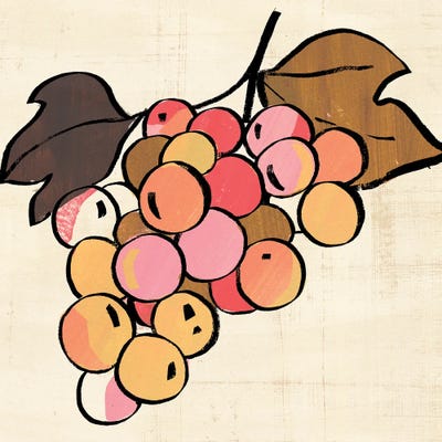 Fruit Cuts III by Annie Warren framed canvas print