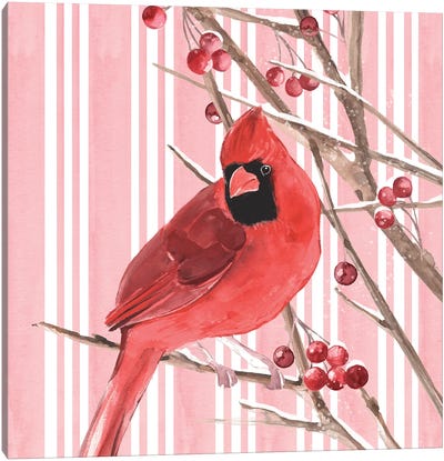Winter Cardinal I Canvas Art Print