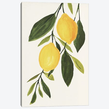 Lemon Branch I Canvas Print #AWR298} by Annie Warren Canvas Art Print