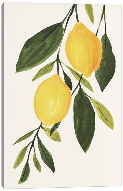 Lemon Branch I Canvas Art Print - Lemon & Lime Art