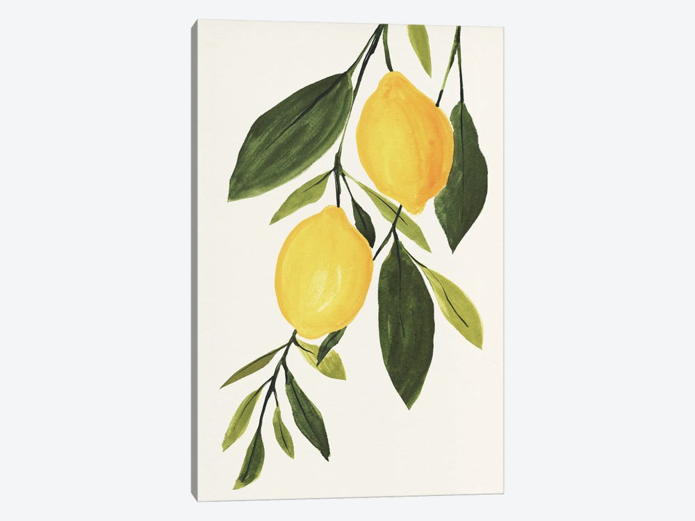 Lemon Branch I by Annie Warren 1-piece Canvas Art