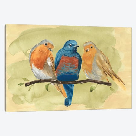 Bird Perch II Canvas Print #AWR2} by Annie Warren Canvas Wall Art