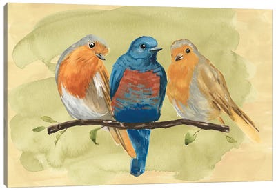 Bird Perch II Canvas Art Print