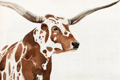 Spotted Steer IV by Annie Warren art print
