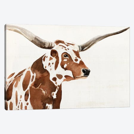 Spotted Steer IV Canvas Print #AWR302} by Annie Warren Art Print
