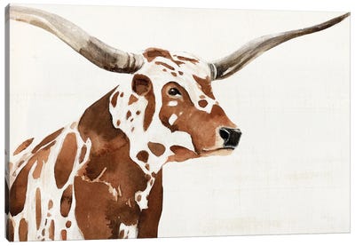 Spotted Steer IV Canvas Art Print - Bull Art