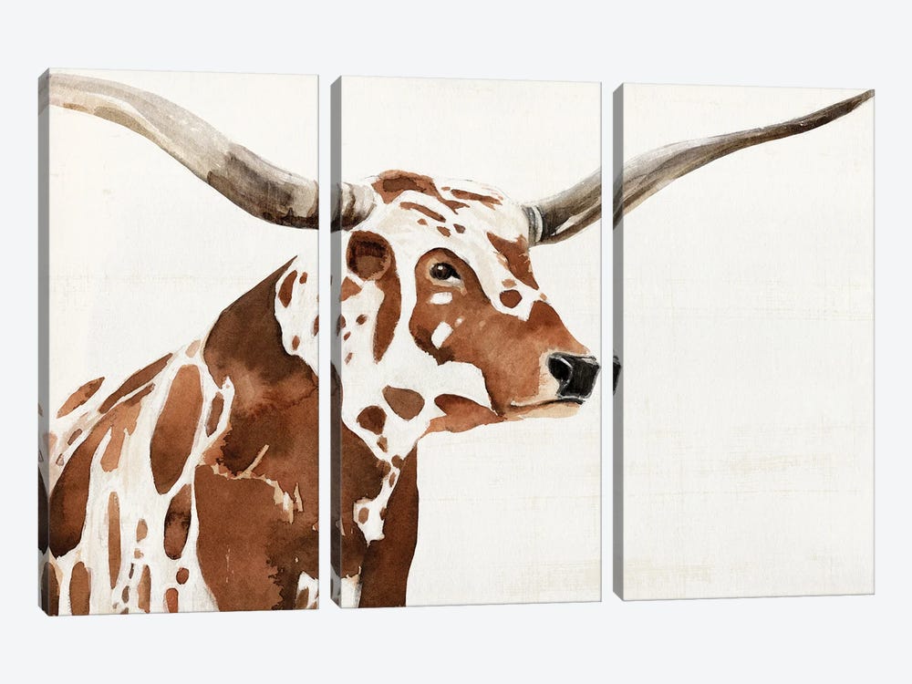 Spotted Steer IV by Annie Warren 3-piece Canvas Wall Art