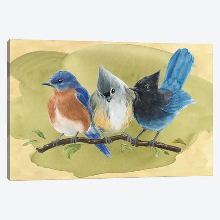 Bird Perch III Canvas Print #AWR3} by Annie Warren Canvas Artwork