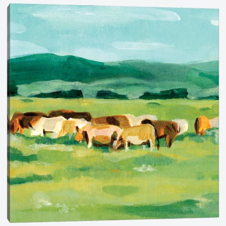Rural Fields II Canvas Print #AWR77} by Annie Warren Canvas Art Print
