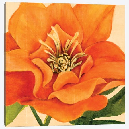 Copper Petals II Canvas Print #AWR88} by Annie Warren Canvas Art Print