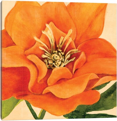 Copper Petals II Canvas Art Print