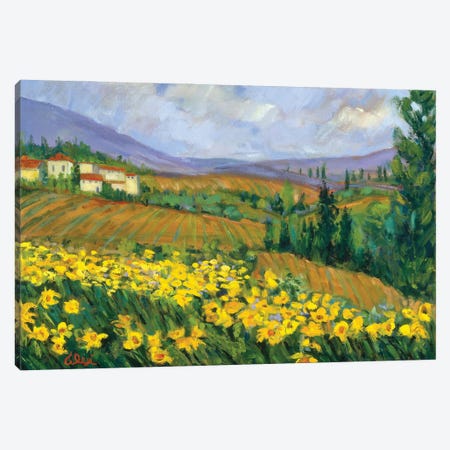 Field of Yellow Canvas Print #AXF10} by Alexi Fine Canvas Art