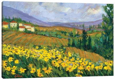 Field of Yellow Canvas Art Print - Daffodil Art