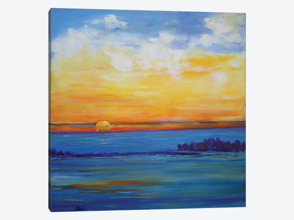 Independence Day Sunset by Alexi Fine 1-piece Canvas Wall Art