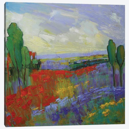 Poppy Field Valley Canvas Print #AXF25} by Alexi Fine Canvas Art
