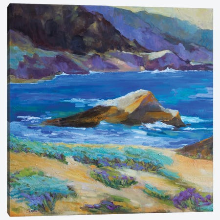 Carmel Cove Canvas Print #AXF4} by Alexi Fine Canvas Print