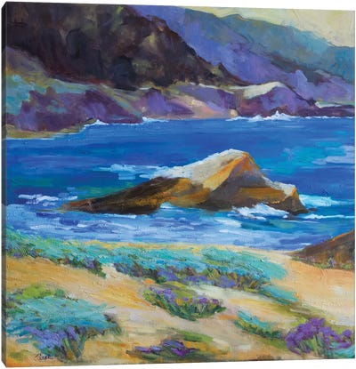 Carmel Cove Canvas Art Print