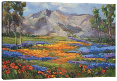 Carmel Spring Canvas Art Print