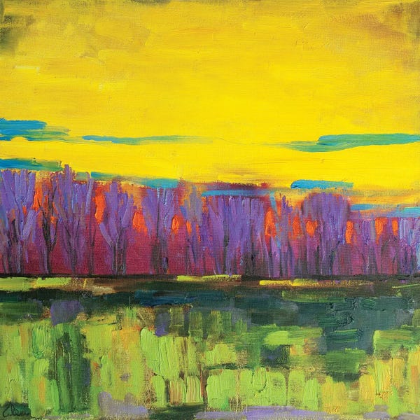 Alexi Fine: Dream Forest by Alexi Fine