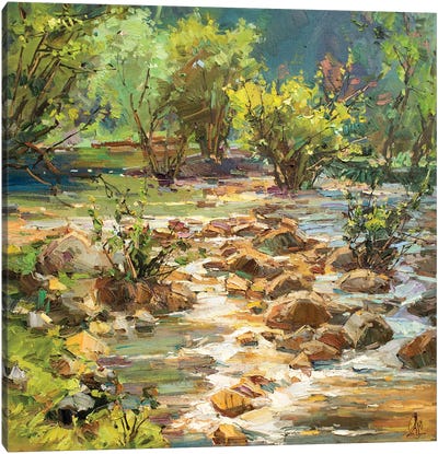 Mountain River Canvas Art Print - Sergey Alexandrovich Pozdeev