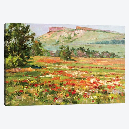 Poppy Field At The Foot Of White Cliffs Canvas Print #AXP346} by Sergey Alexandrovich Pozdeev Canvas Artwork