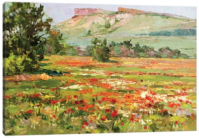 Poppy Field At The Foot Of White Cliffs Canvas Art Print - Sergey Alexandrovich Pozdeev