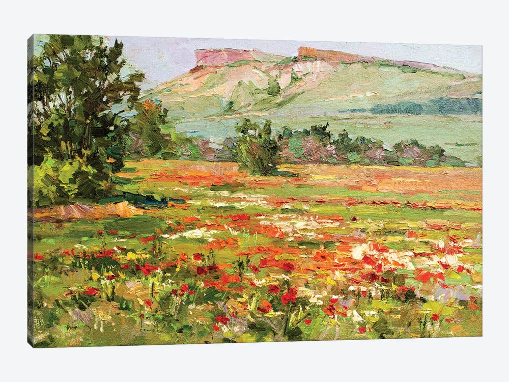 Poppy Field At The Foot Of White Cliffs by Sergey Alexandrovich Pozdeev 1-piece Canvas Print