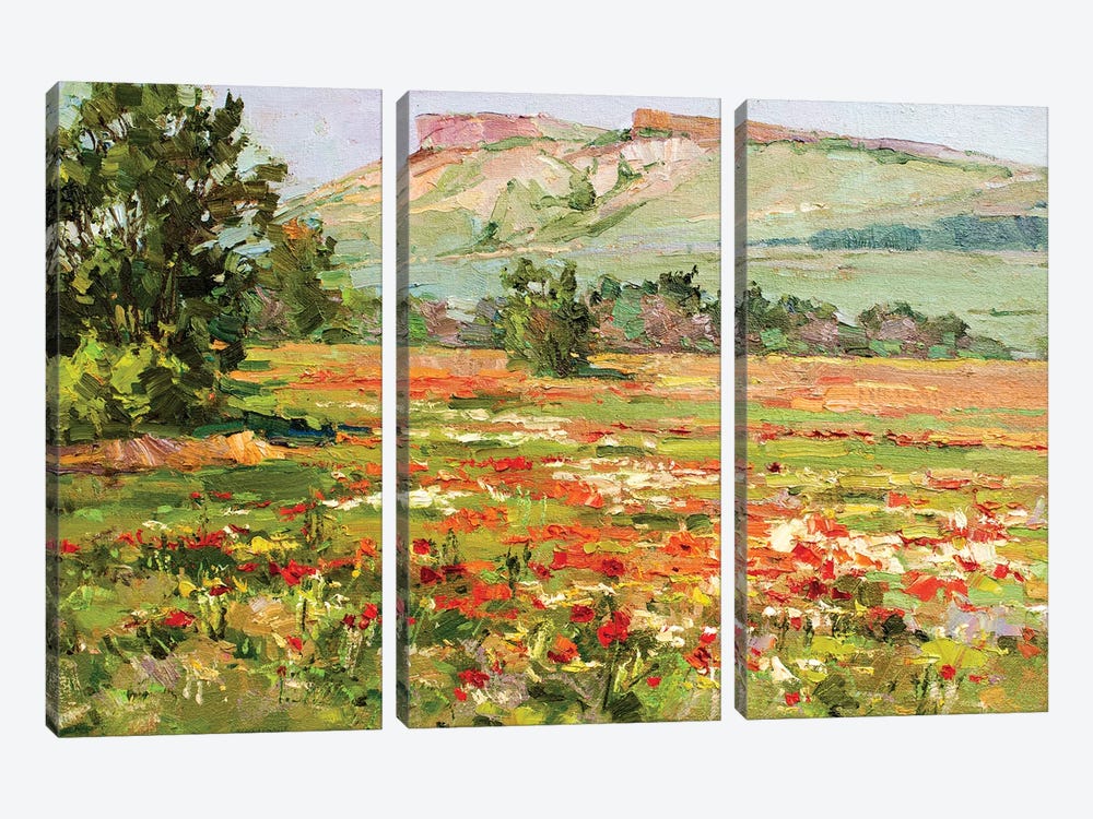 Poppy Field At The Foot Of White Cliffs by Sergey Alexandrovich Pozdeev 3-piece Canvas Print
