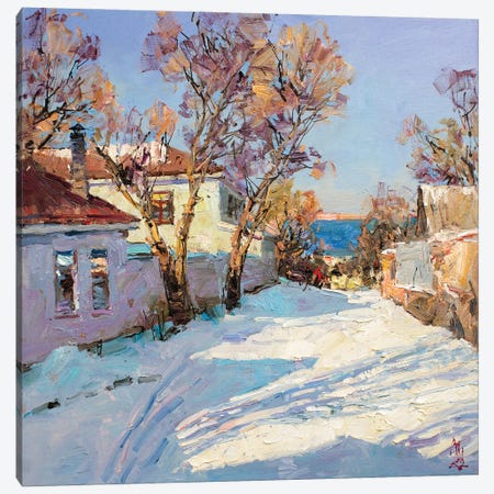 Rare Snow By The Seaside Canvas Print #AXP347} by Sergey Alexandrovich Pozdeev Canvas Art