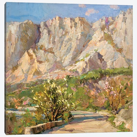 Road To The High Canvas Print #AXP348} by Sergey Alexandrovich Pozdeev Canvas Print