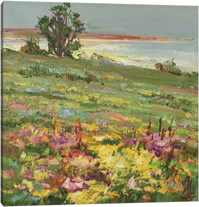 Spring Field Canvas Art Print