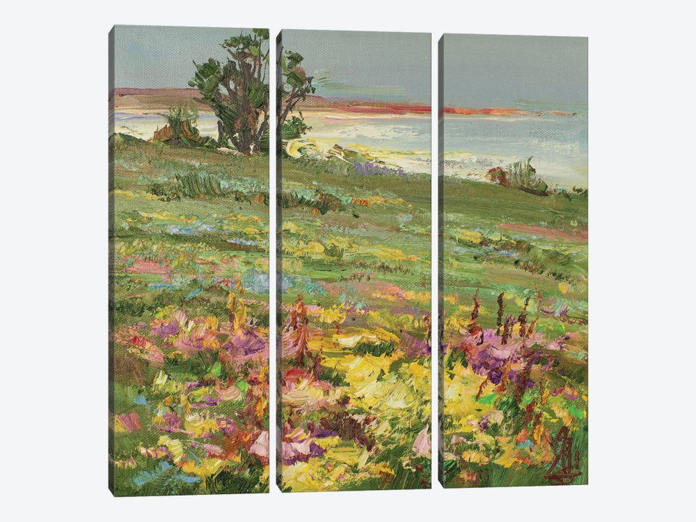 Spring Field by Sergey Alexandrovich Pozdeev 3-piece Canvas Wall Art