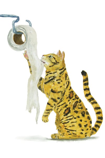 Bengal Cat And Toilet Paper