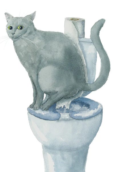 British Shorthairs: British Cat On The Toilet by Alexey Dmitrievich Shmyrov
