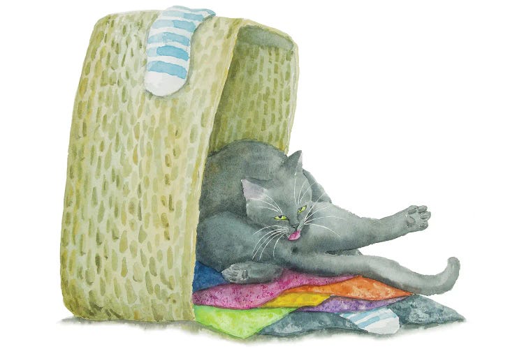 British Cat On Towels
