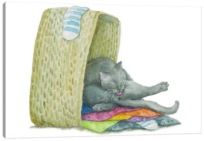 British Cat On Towels Canvas Art Print - British Shorthair Cat Art