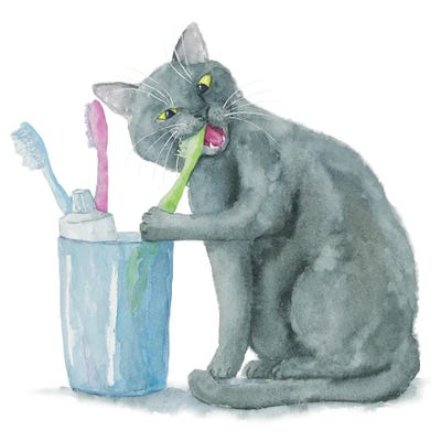 British Cat And Toothbrushes by Alexey Dmitrievich Shmyrov framed canvas print