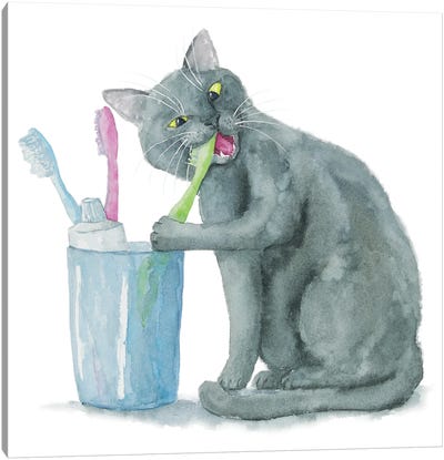 British Cat And Toothbrushes Canvas Art Print - British Shorthair Cat Art