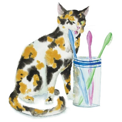 Calico Cat And Toothbrushes by Alexey Dmitrievich Shmyrov framed canvas print