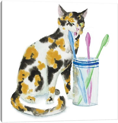 Calico Cat And Toothbrushes Canvas Art Print - Alexey Dmitrievich Shmyrov