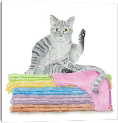 Gray Tabby Cat On Towels Canvas Art Print - Tabby Cat Art