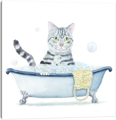 Gray Tabby Cat In The Tub Canvas Art Print - Bathroom Humor Art