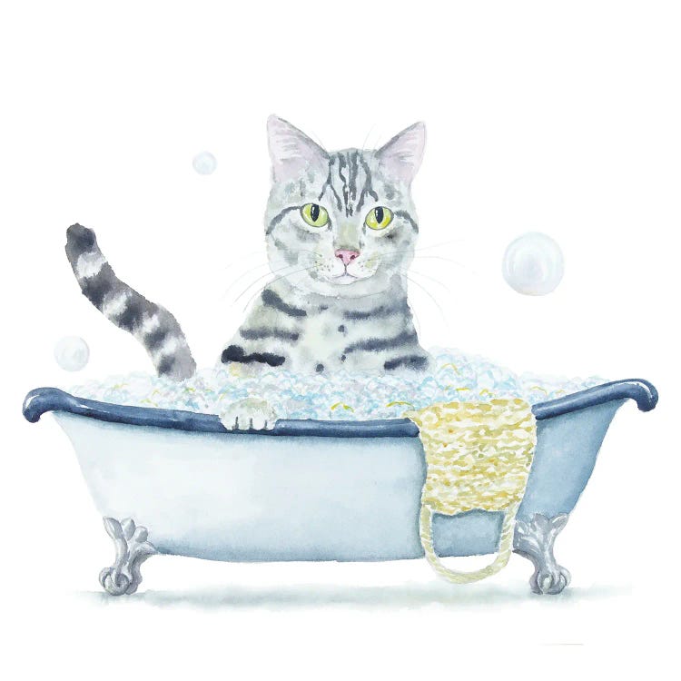 Gray Tabby Cat In The Tub