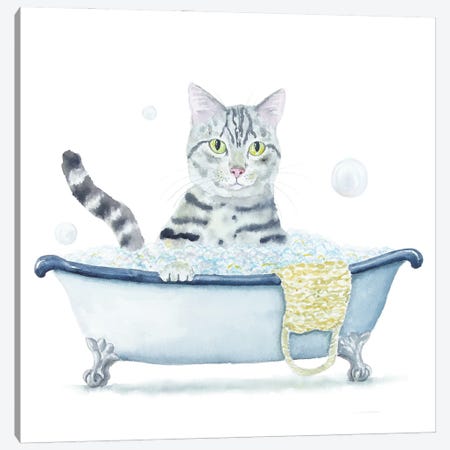 Gray Tabby Cat In The Tub Canvas Print #AXS111} by Alexey Dmitrievich Shmyrov Canvas Artwork
