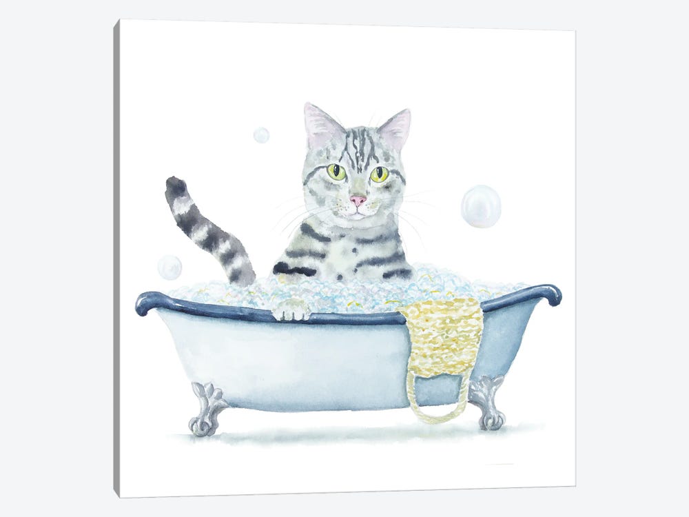 Gray Tabby Cat In The Tub by Alexey Dmitrievich Shmyrov 1-piece Canvas Art