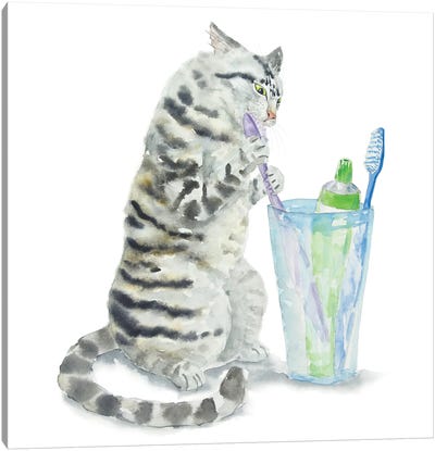 Gray Tabby Cat And Toothbrushes Canvas Art Print - Tabby Cat Art