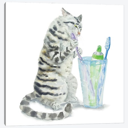 Gray Tabby Cat And Toothbrushes Canvas Print #AXS112} by Alexey Dmitrievich Shmyrov Canvas Artwork