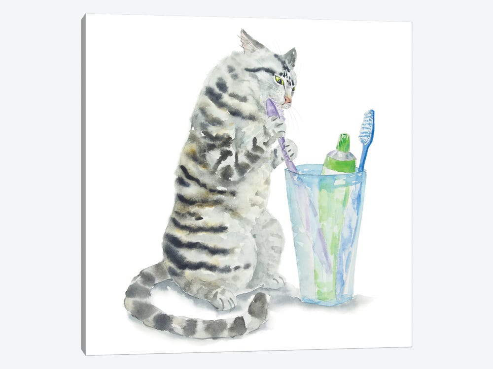 Gray Tabby Cat And Toothbrushes by Alexey Dmitrievich Shmyrov 1-piece Canvas Print