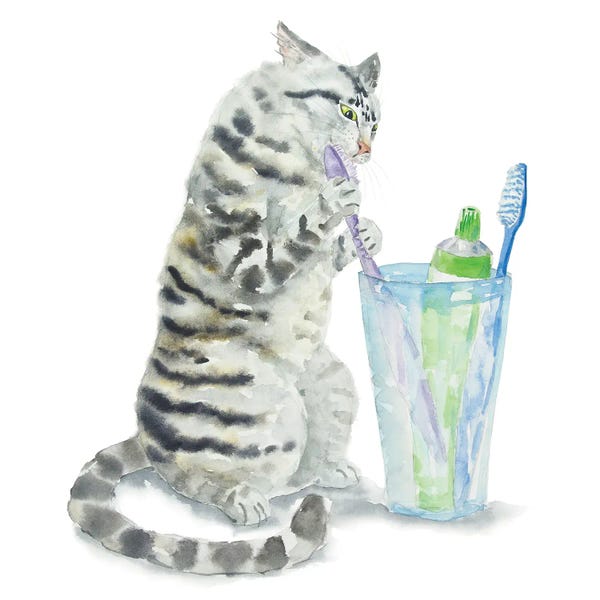 Tabbies: Gray Tabby Cat And Toothbrushes by Alexey Dmitrievich Shmyrov