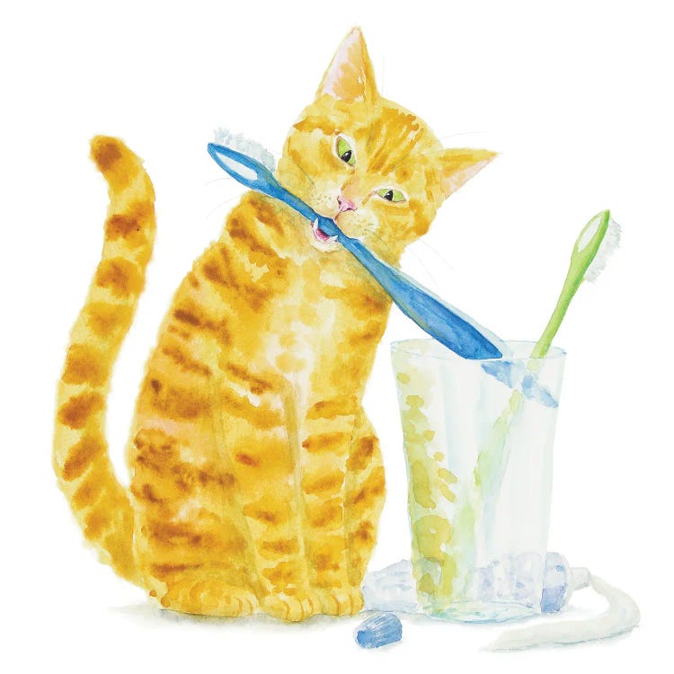 Orange Cat And Toothbrushes